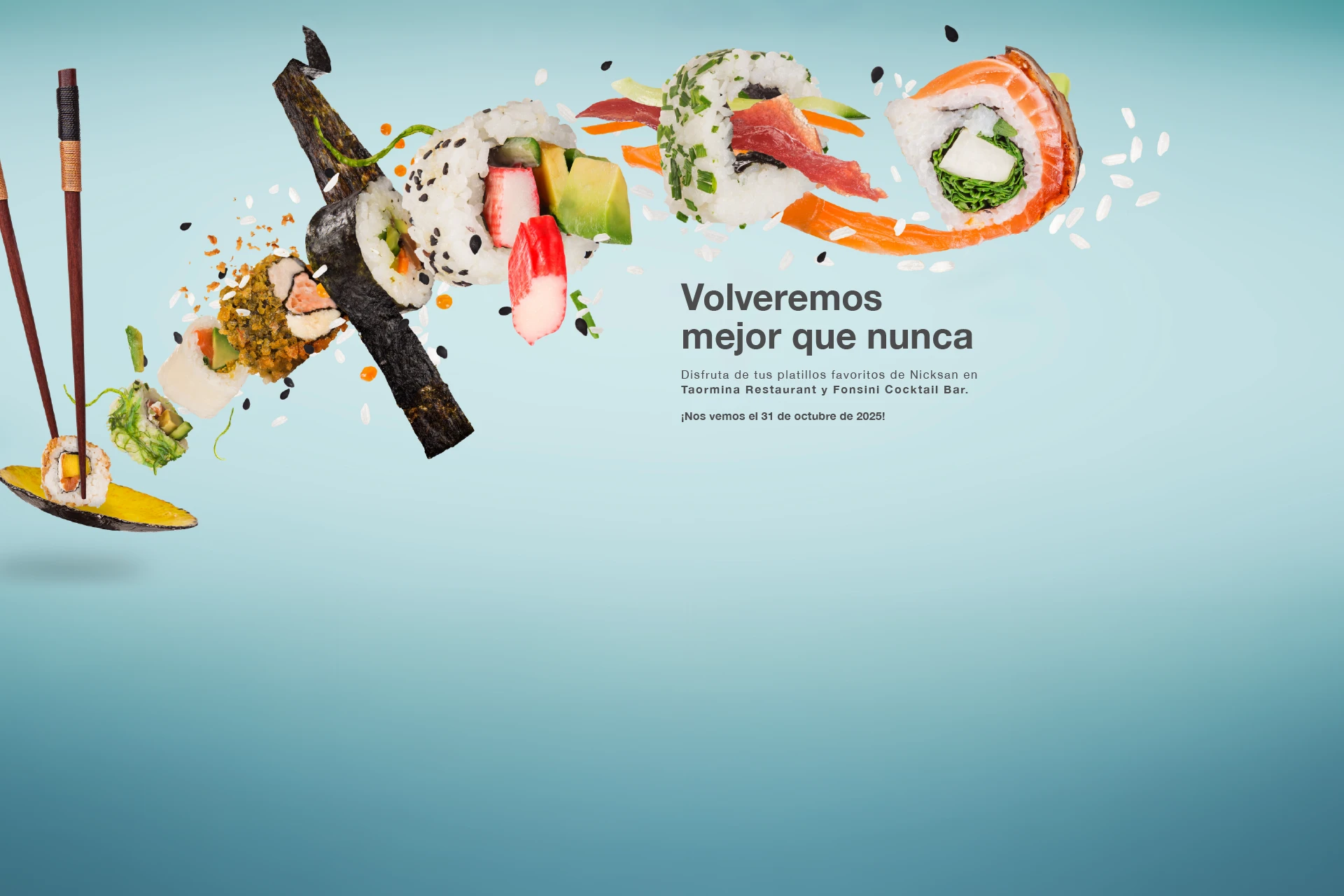 Nicksan Nuevo Vallarta