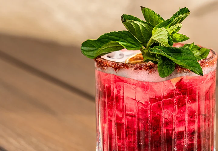 Nicksan Nuevo Vallarta