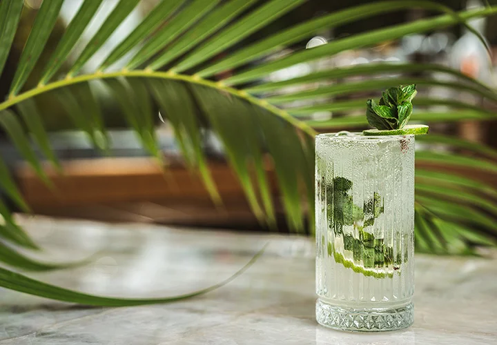 Nicksan Nuevo Vallarta